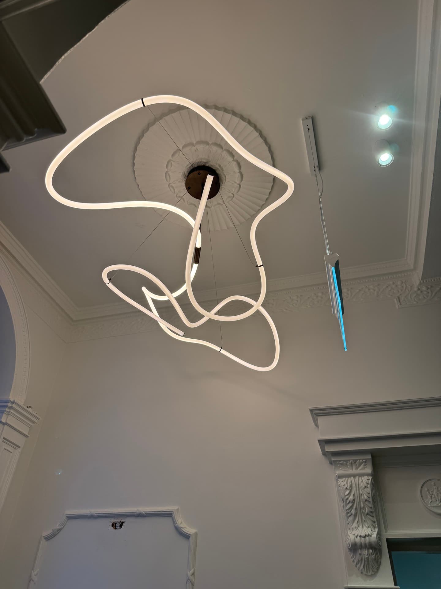 Sculptural LED ribbon pendant light mounted from an ornate ceiling rose with recessed downlights at Harcourt Dental Clinic